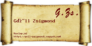 Gáll Zsigmond névjegykártya